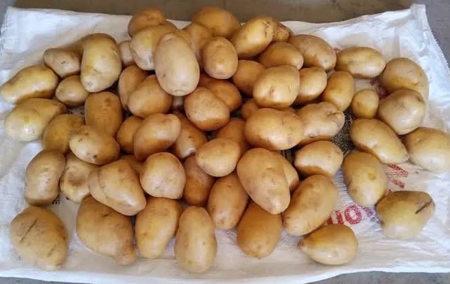 potatoes.j 1pg Potatoes - Image 1